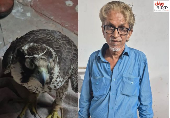 14 करोड़ के 7 दुर्लभ फॉलकन पक्षियों के साथ मुंबई का अंतरराष्ट्रीय तस्कर गिरफ्तार
