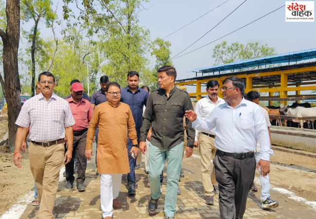 सेवा संकल्प अभियान के तहत कान्हा गौशाला में गौवंश विशेष शिविर का आयोजन