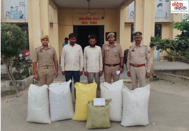 डोडा छिलका के साथ दो तस्कर चढ़े भमोरा पुलिस के हत्थे