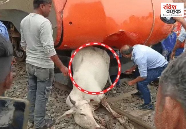 लखनऊ आ रही वंदे भारत से टकराई गाय, अगला हिस्सा टूटा, आधे घंटे रुकी ट्रेन