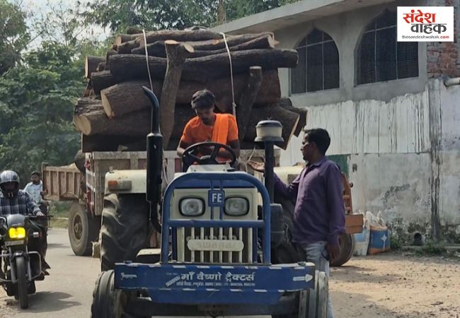 लखनऊ में आम की लकड़ी ले जा रहे ठेकेदार ने डिप्टी रेंजर को पीटा, मुकदमा दर्ज