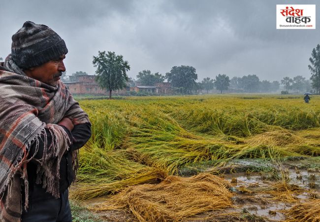 यूपी में बूंदाबांदी से बढ़ी ठंड, धान की फसल पर मंडराया नुकसान का खतरा